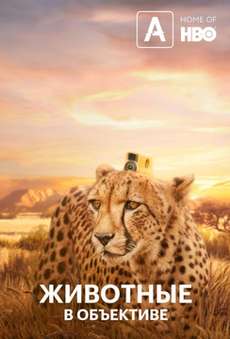 Животные с объективом